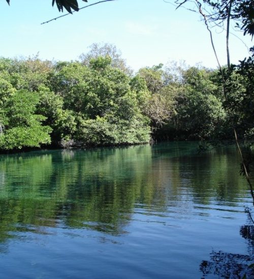 Fiuk da banda hori